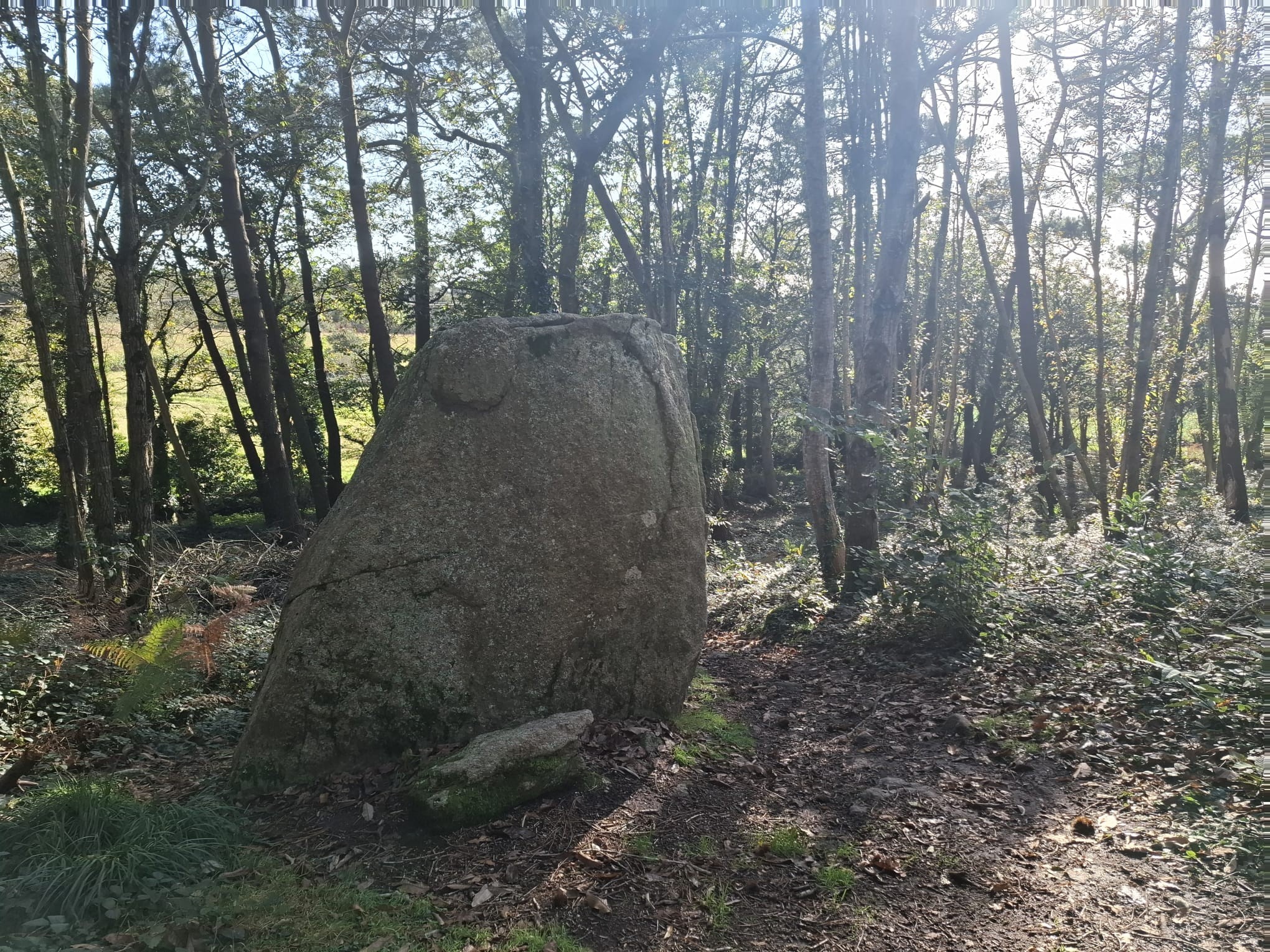  le sentier de Saint-Kodelig à Pouldrezic 22/10/2024