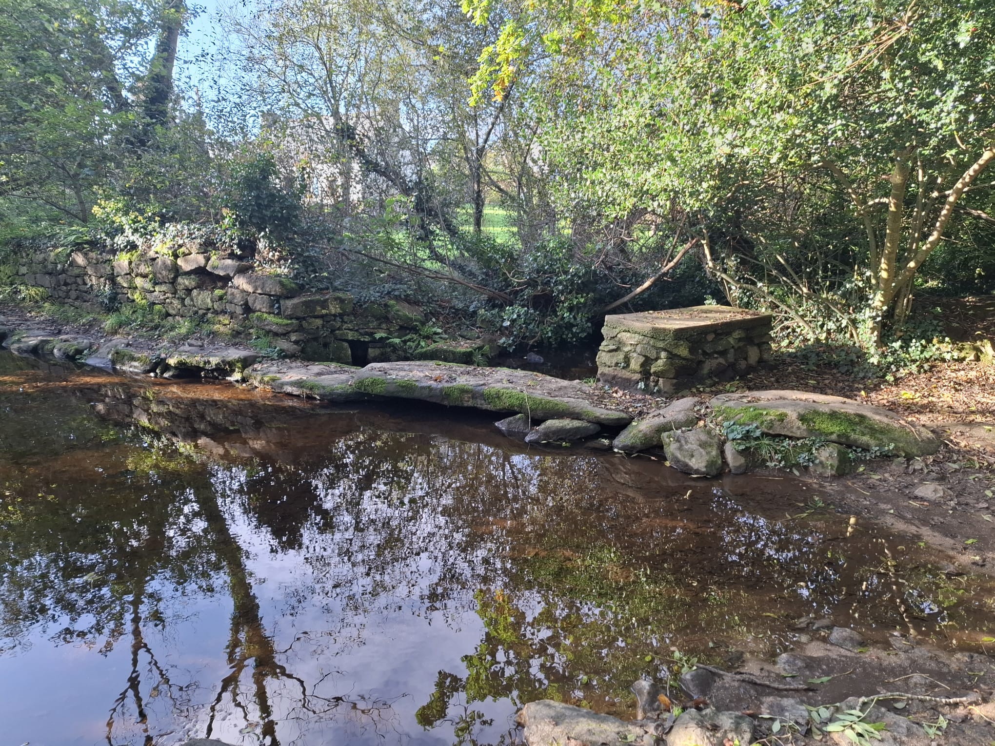  le sentier de Saint-Kodelig à Pouldrezic 22/10/2024