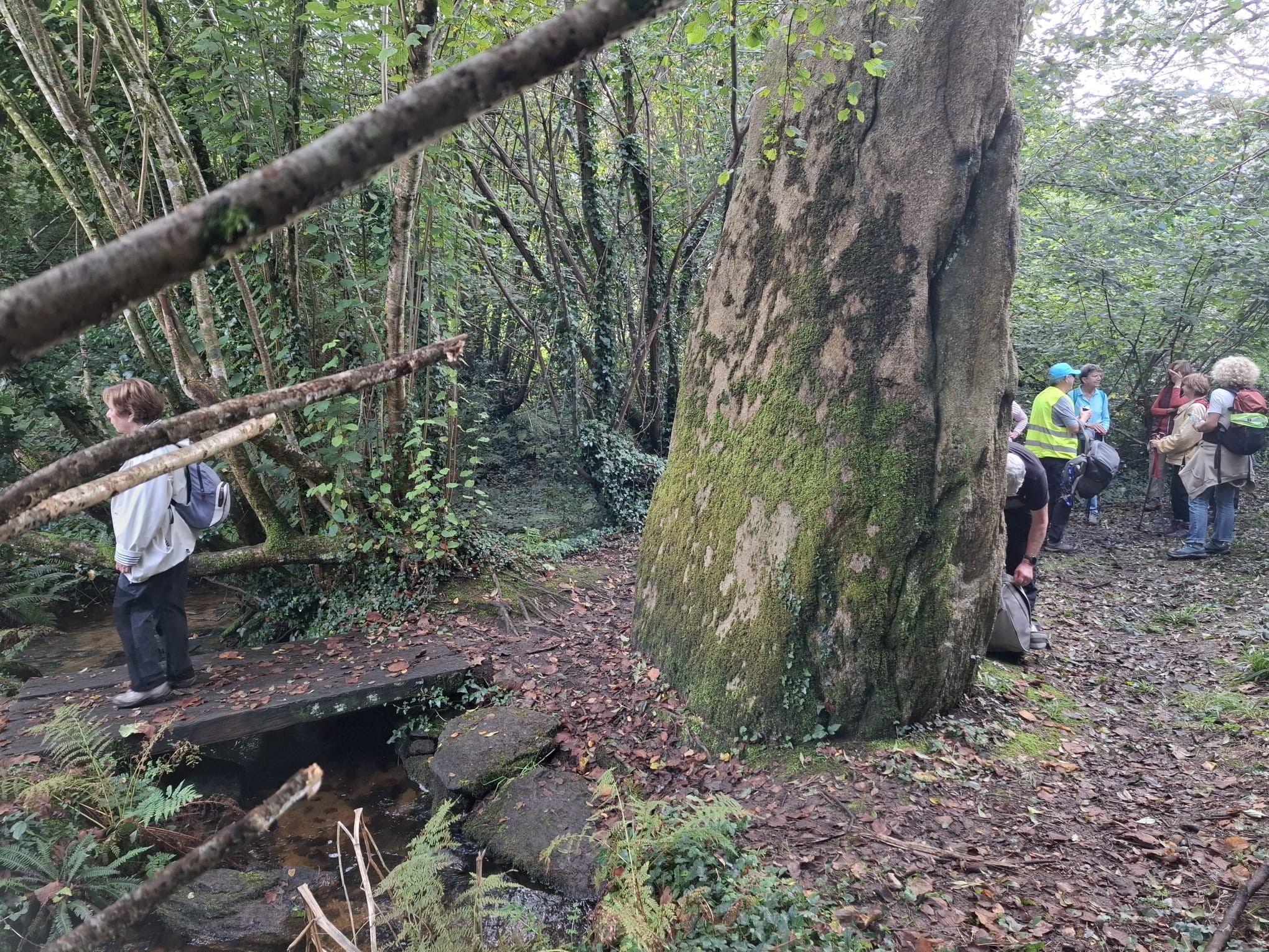  le sentier de Saint-Kodelig à Pouldrezic 22/10/2024