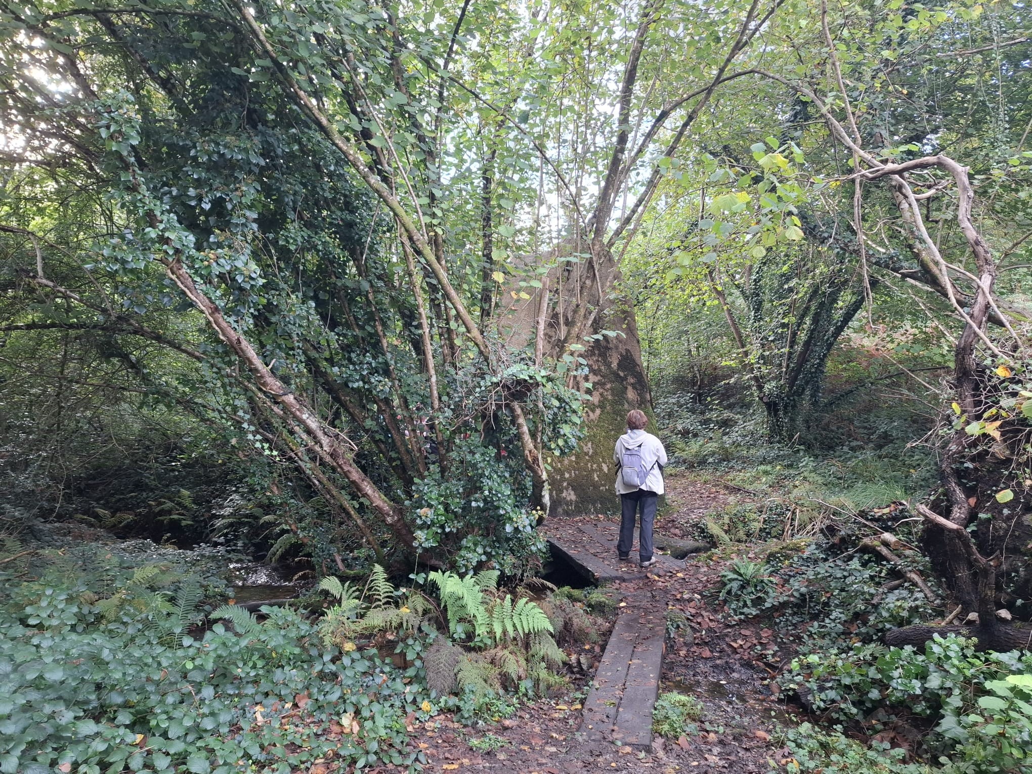  le sentier de Saint-Kodelig à Pouldrezic 22/10/2024