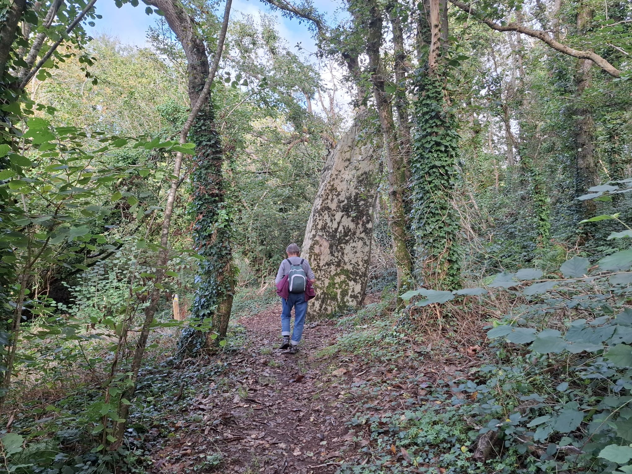  le sentier de Saint-Kodelig à Pouldrezic 22/10/2024