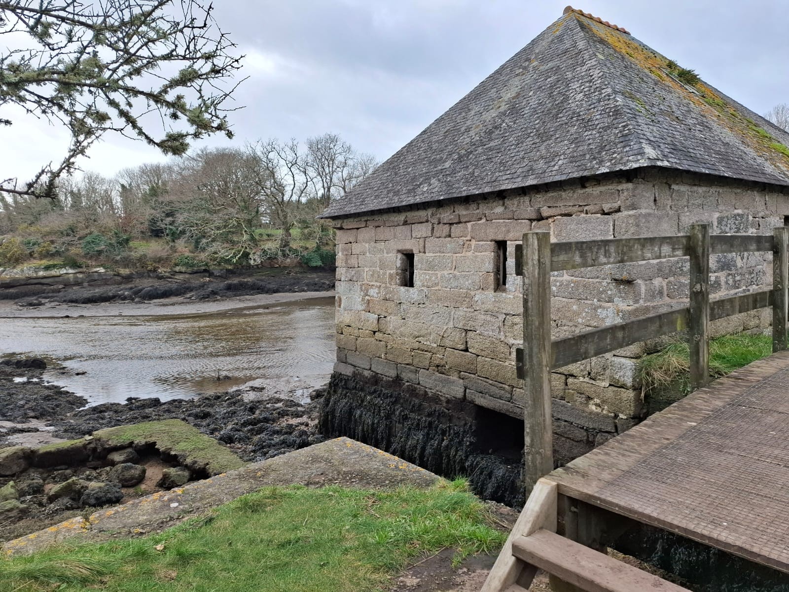 WPlage de la belle étoile à Concarneau - mardi 5 février